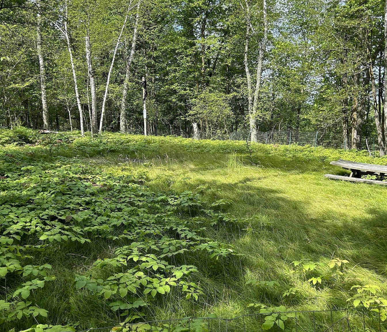 14967 Cedar Dr, Nevis, MN 56467 Zillow