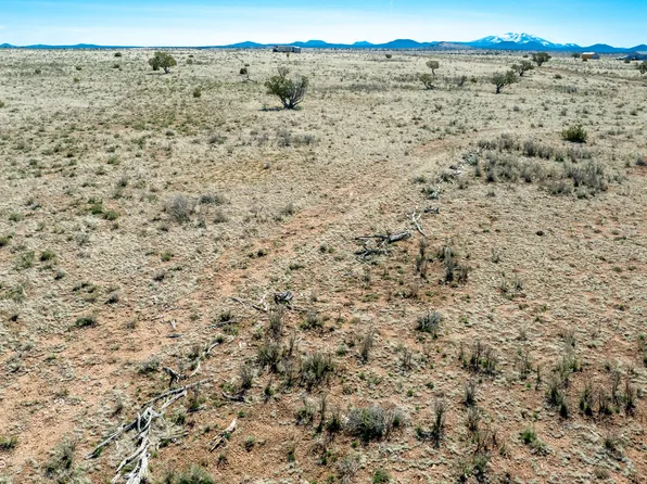 6232 S Prairie Grass Ln, Williams, AZ 86046