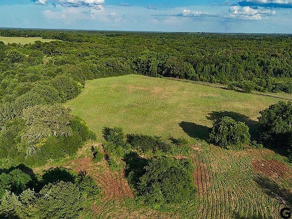 4th image of 753 County Road 4390