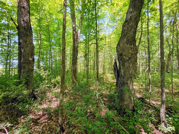Broeniman Rd, High Bridge, WI 54846