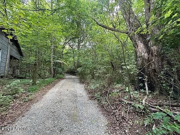 5th image of 782 County Road 279 Lot 1