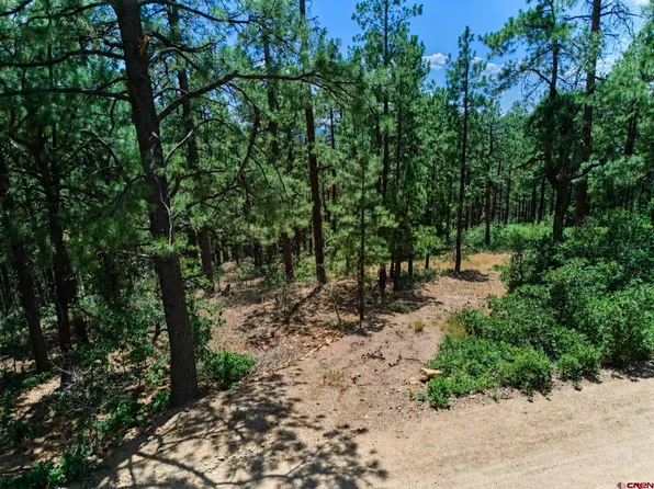 636 E Valley View Drive, Bayfield, CO 81122