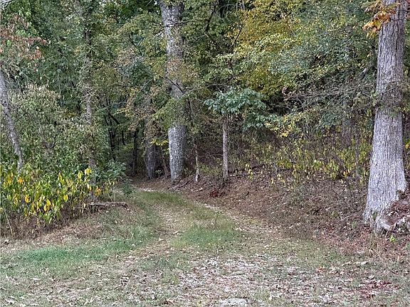 4th image of 1506 Brush Creek Rd