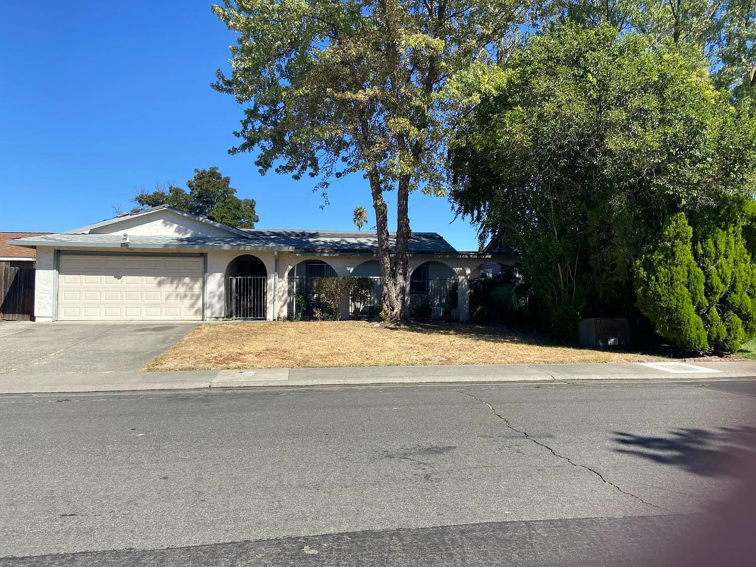 8353 Star Thistle Way photo 1