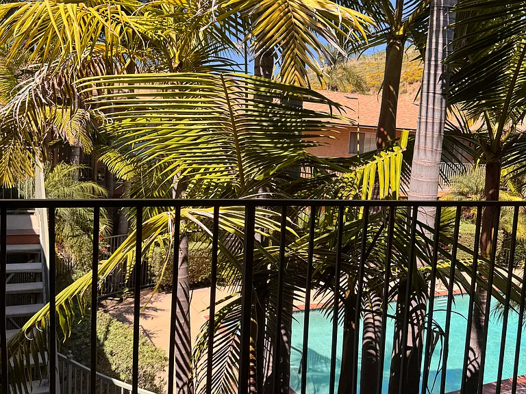 View from Unit #13