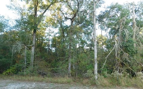 5th image of 16099 237th Dr Lot 24