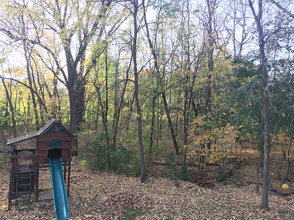 Amazing backyard to explore