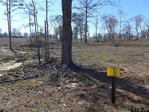 4th image of Tbd Palomino Pl Lot 7