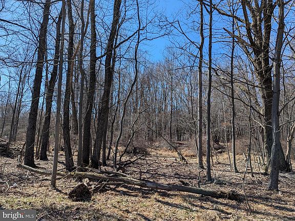 4th image of 0 628 #T