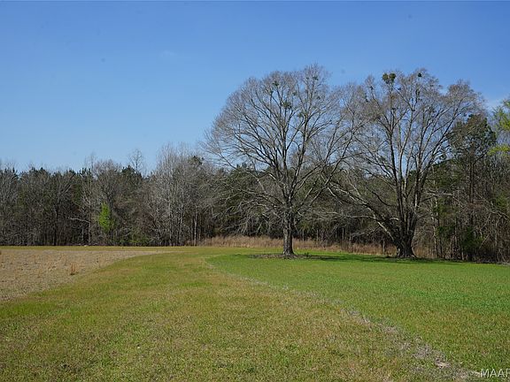 4th image of 11540 Hobbie Rd