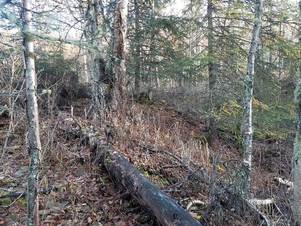 1st image of 16123 Parksville Dr