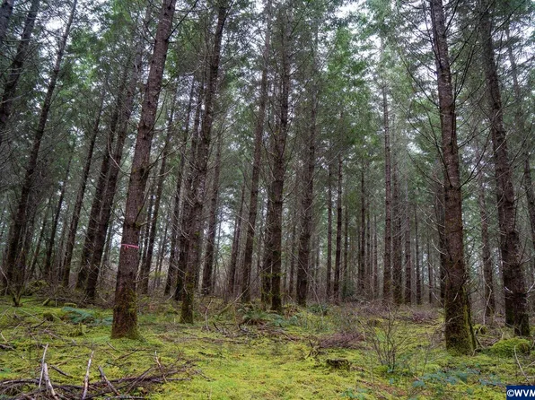 Green Peak Rd, Monroe, OR 97456