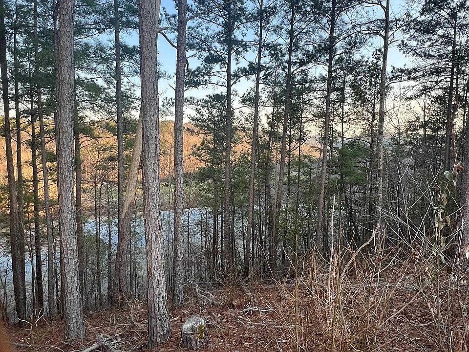 2nd image of County Road 15