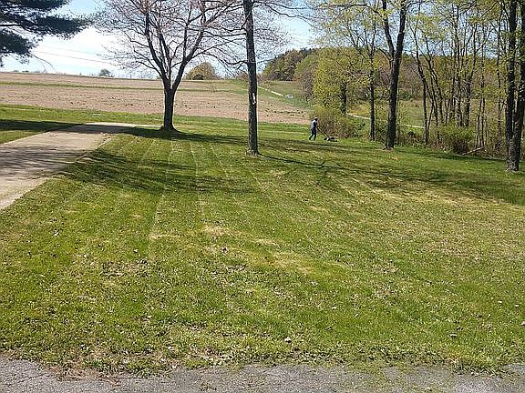 View from porch
