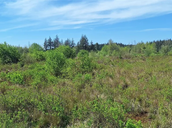 123 Meier Road, Winlock, WA 98596