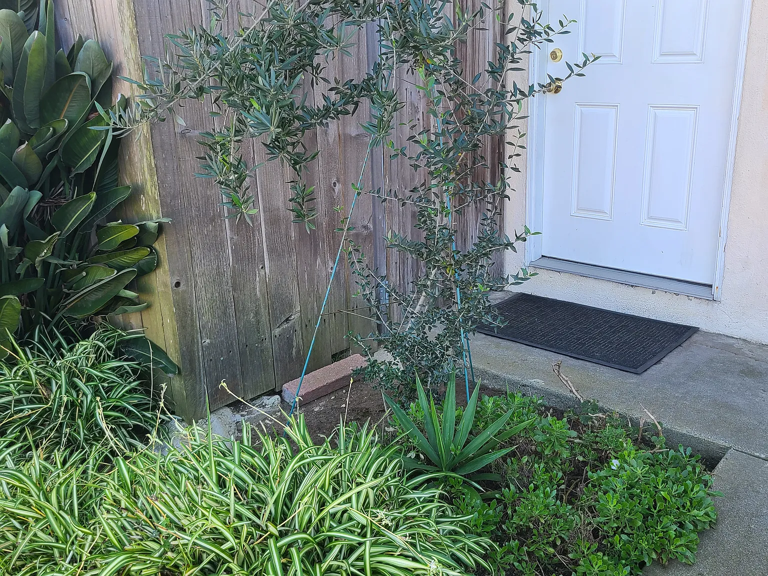 4704 Del Amo Blvd Torrance Ca. 90503 West Torrance — Photo 4