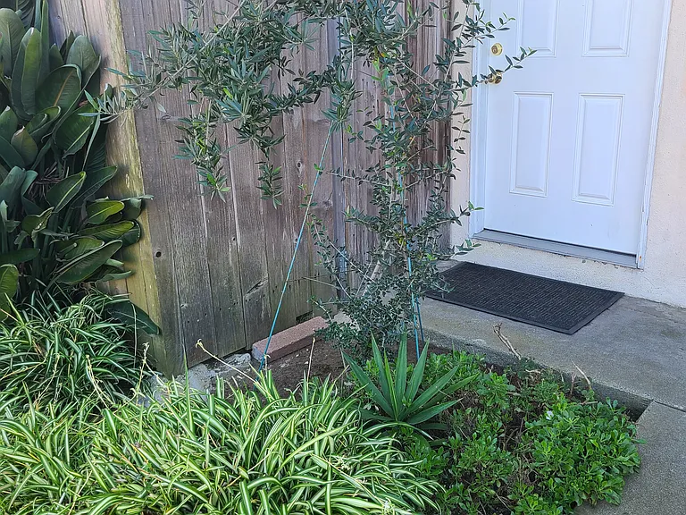 4704 Del Amo Blvd #1 — Photo 4