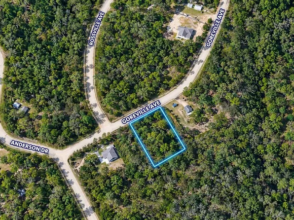 Tbd Goreville, Alford, FL 32420