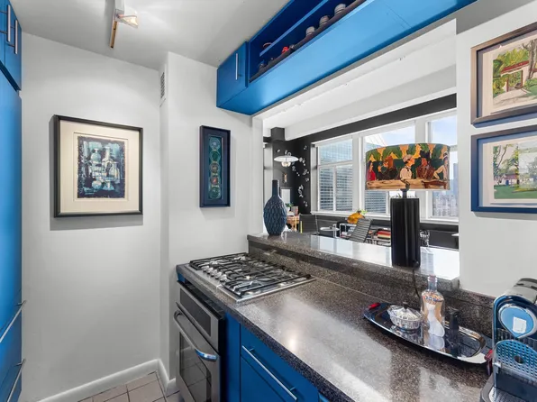 310 East 46th Street image 4 of 15