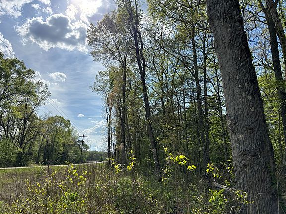 5th image of 0 Streaming Water Loop Lot 1