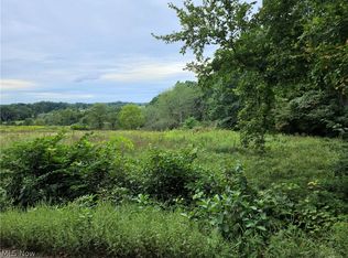 7155 Buttermilk Rd, Blue Rock, OH 43720