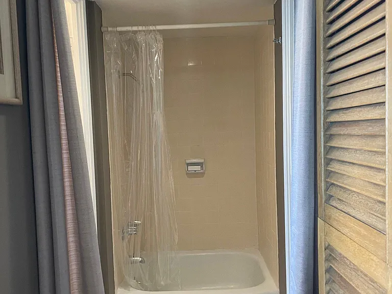Shower bath