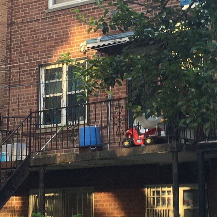 2nd image of 2448 Bronx Park E