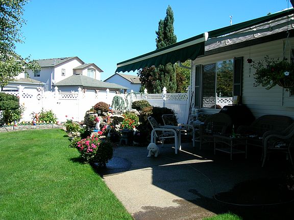 back yard