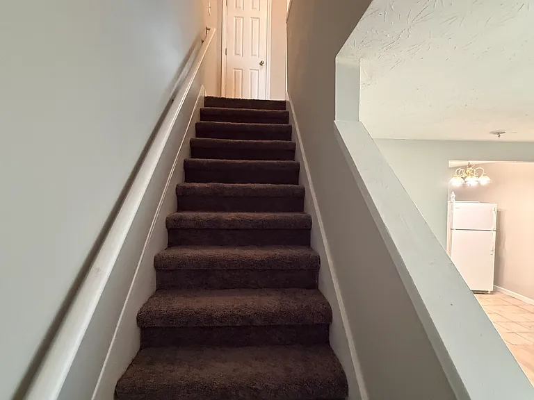 12 Point Place Dr — Photo 10