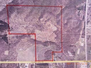 Thumb Lake Rd, Vanderbilt, MI 49795