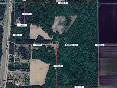428XX Forest Blvd, Harris, MN, 55032