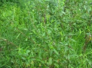 LOT Grayson Point, Blue Ridge, GA 30513