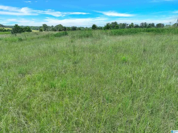 0 State Highway 191 #1, Jemison, AL 35085