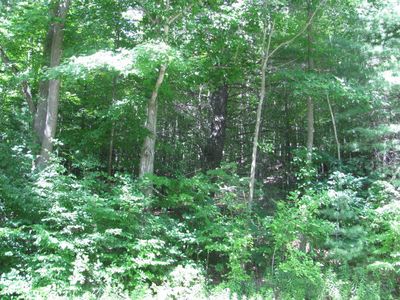 62054 State Route 415, Cohocton, NY, 14826