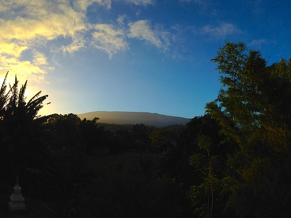 Morning view