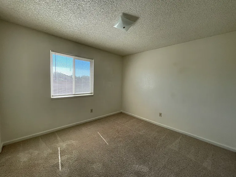 3500 Timberly Ln — Photo 14