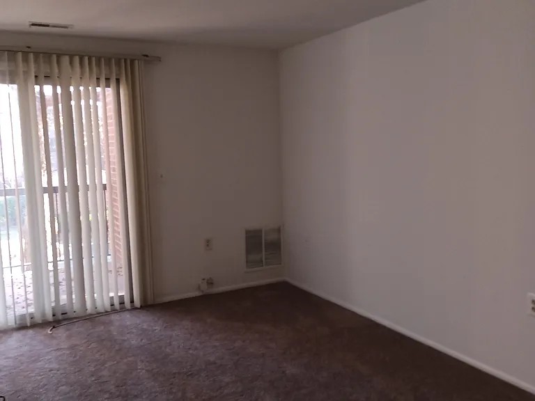 living room with new carpeted area
