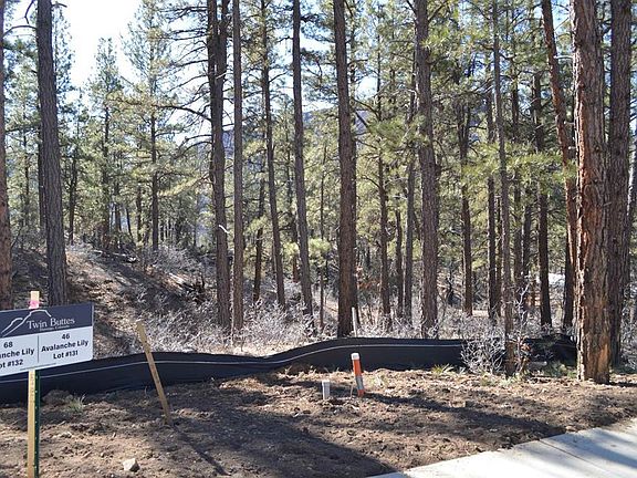 3rd image of 46 Avalanche Lily Dr. (Lot 131)