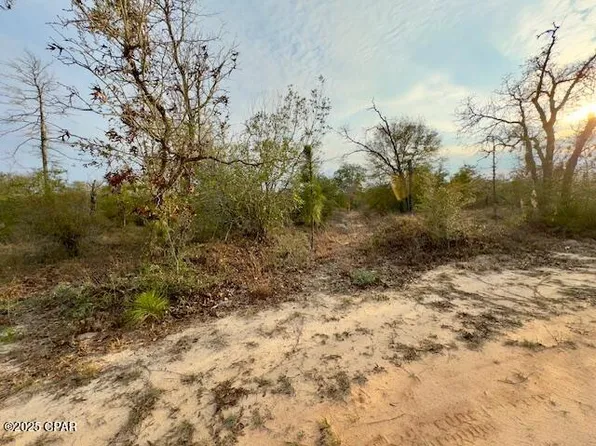 14-229 Golconda St, Alford, FL 32420