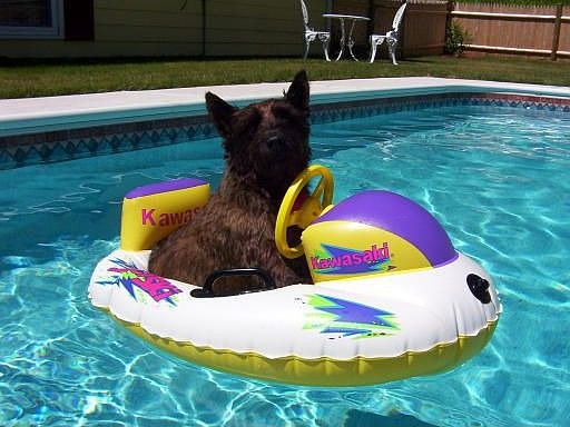 Inground pool 3 years old