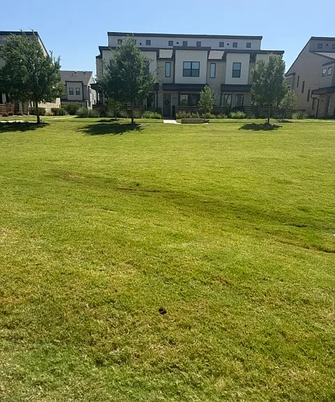 800 Bandera Ct — Photo 10