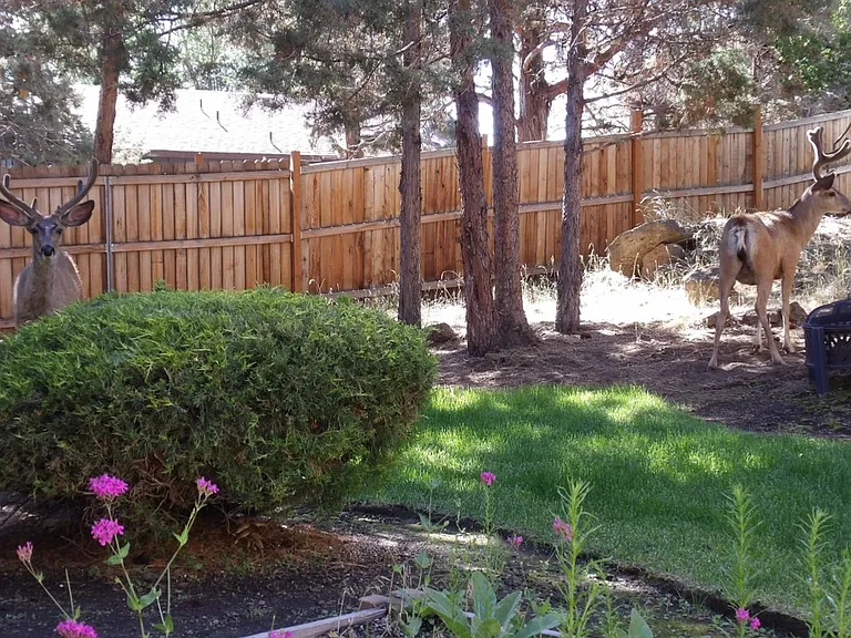1133 NE Hidden Valley Dr #A-D — Photo 1