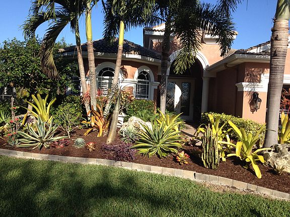 front of house + vegetation