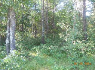 Beaver Ave, Nekoosa, WI 54457