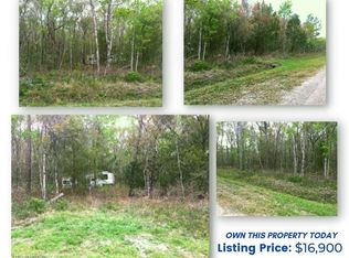 10510 Vaughan Ave, Hastings, FL 32145