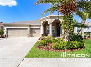 9673 Orange Jasmine Way, Tampa, FL 33647