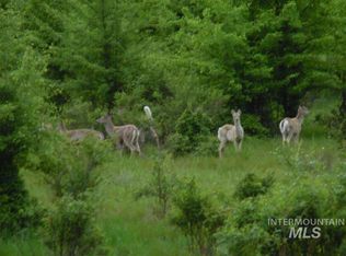 0 Lukes Gulch Rd, Stites, ID 83552
