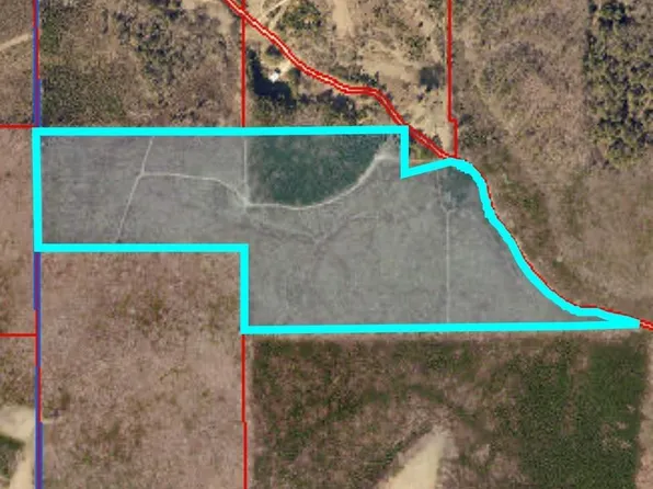 County Road 288, Collinsville, AL 35961