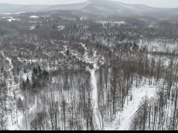 Track 14 Frazee Rdge Rd, Danese, WV 25831