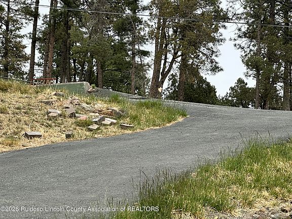 5th image of 125 Crown Ridge Rd